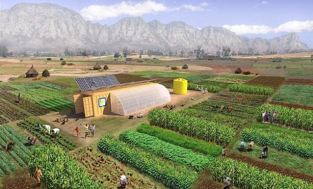 Inovasi Pertanian Ramah Lingkungan untuk Produksi Berkelanjutan